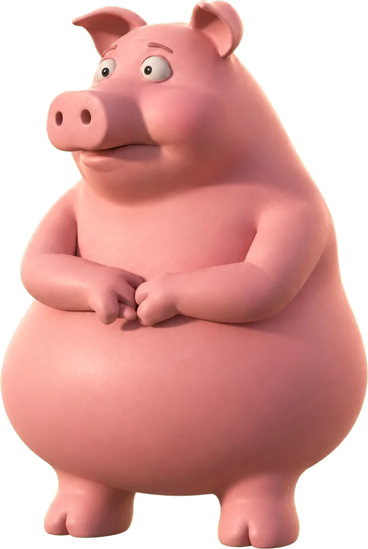 Cashpig standing in the field